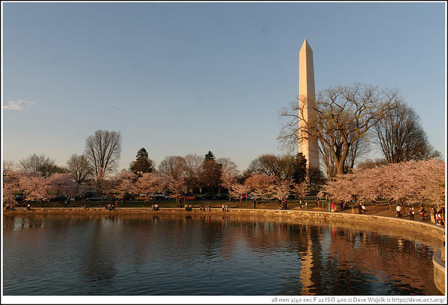 DSC_6474.jpg