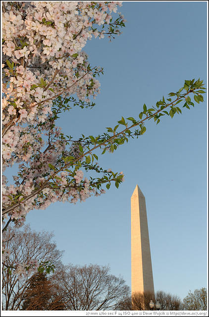 DSC_6483.jpg