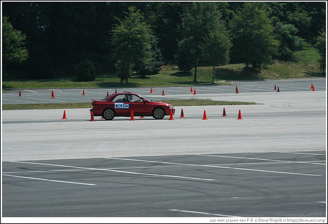 DSC_7101.jpg