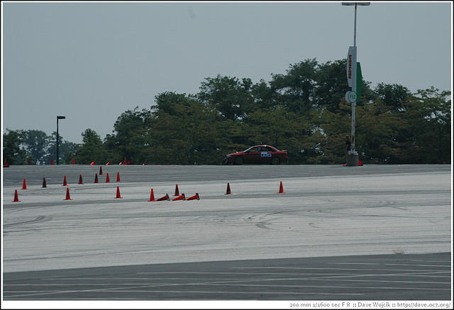 DSC_7133.jpg