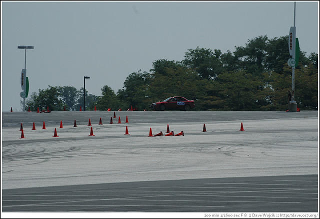 DSC_7134.jpg