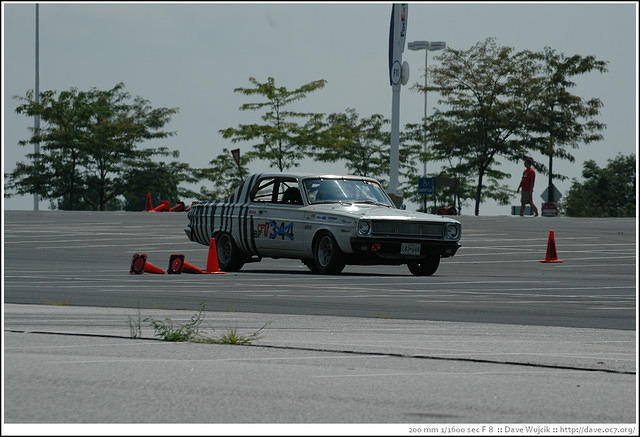 DSC_7273.jpg