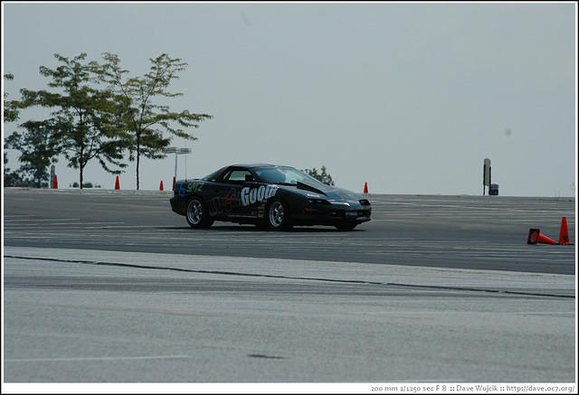 DSC_7284.jpg