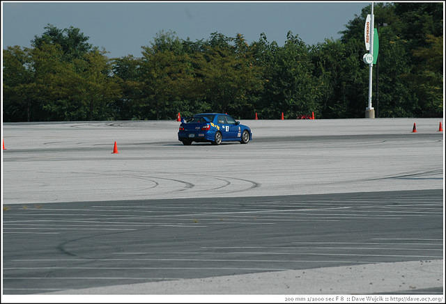 DSC_7313.jpg