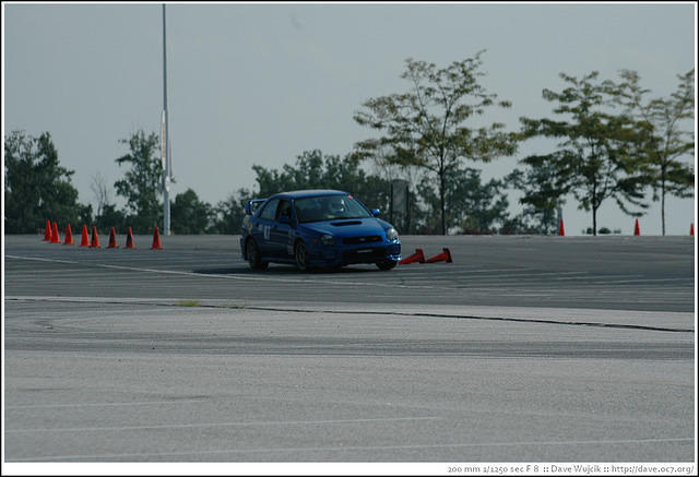 DSC_7338.jpg