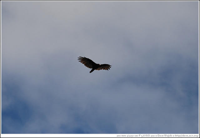 DSC_1388.jpg