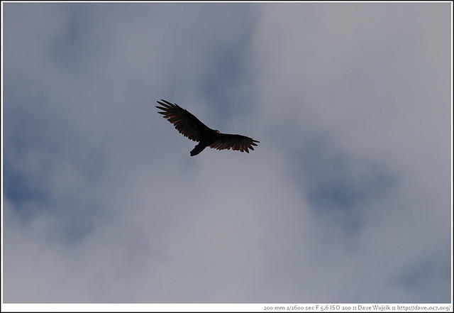 DSC_1389.jpg