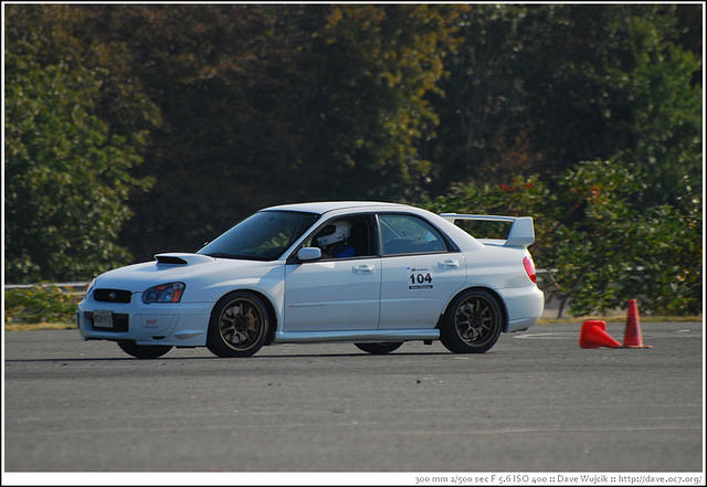 DSC_7795.jpg