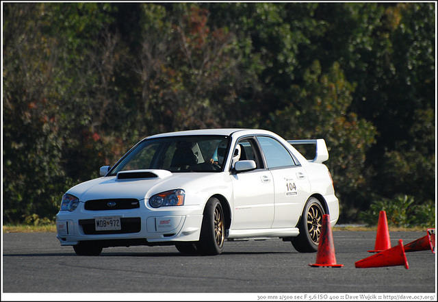 DSC_7798.jpg