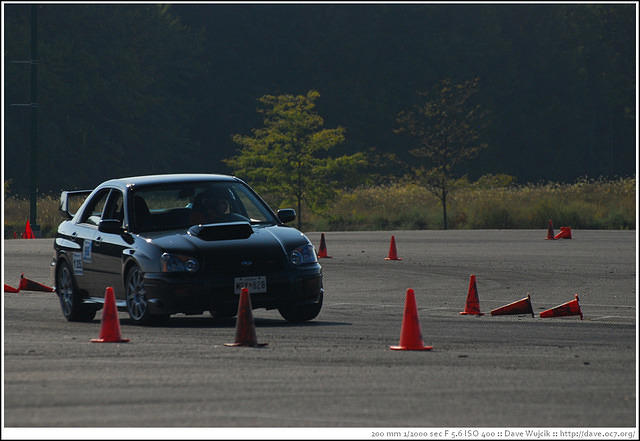 DSC_7838.jpg
