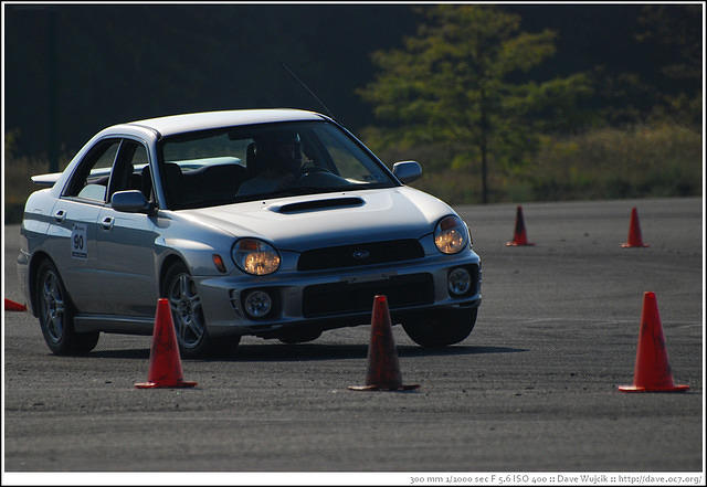 DSC_7844.jpg