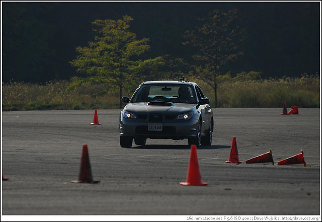 DSC_7847.jpg