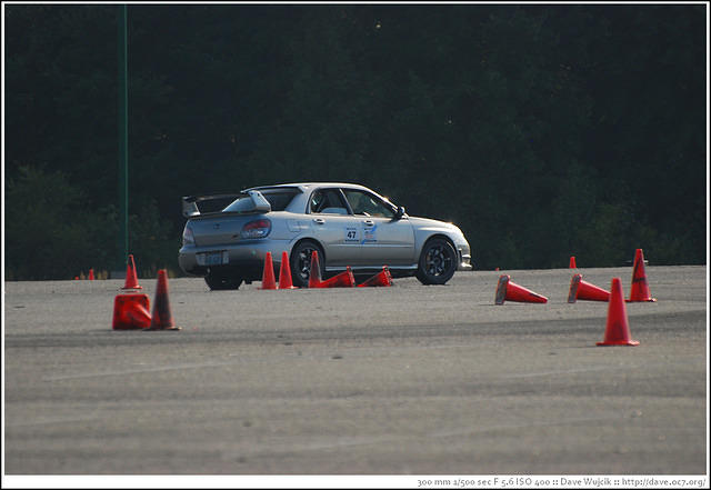 DSC_7893.jpg