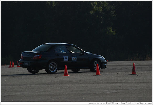 DSC_7921.jpg