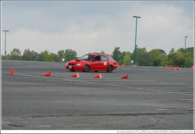 DSC_7017.jpg
