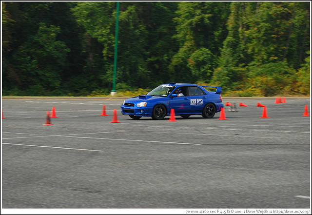 DSC_7313.jpg