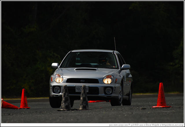 DSC_7391.jpg