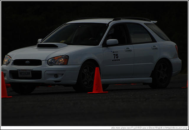 DSC_7431.jpg