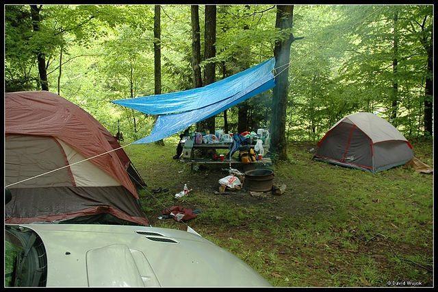 DSC_2540.jpg