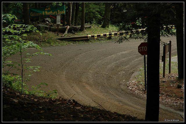 DSC_2797.jpg