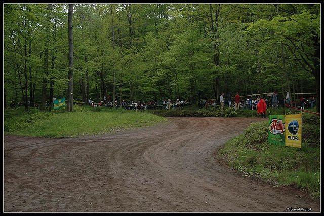 DSC_3365.jpg