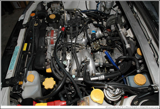 DSC_8770.jpg
