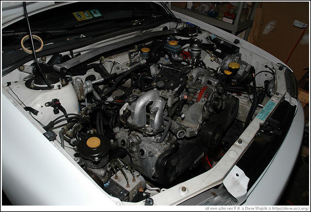 DSC_8777.jpg