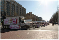 DC Cherry Blossom Festival