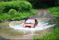 rsti.wet.3.jpg