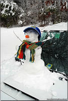 snowman2.jpg