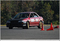 DSC_7706.jpg