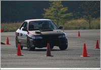 DSC_7830.jpg