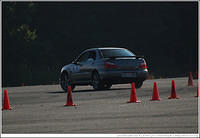 DSC_7846.jpg