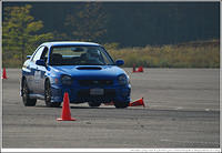 DSC_7874.jpg