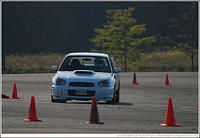 DSC_7879.jpg