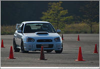 DSC_7880.jpg