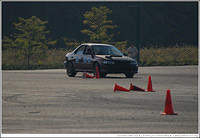 DSC_7906.jpg