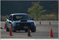 DSC_7919.jpg
