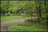 DSC_2982.jpg