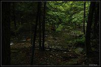 DSC_2623.jpg