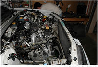 DSC_8774.jpg