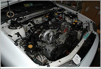 DSC_8777.jpg