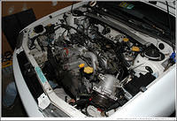DSC_8778.jpg