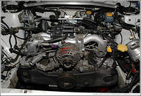 DSC_8779.jpg