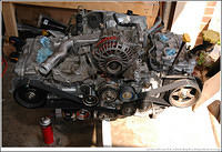 DSC_8902.jpg