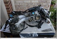 DSC_8921.jpg