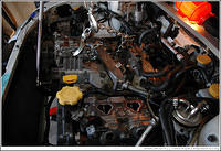 DSC_8923.jpg