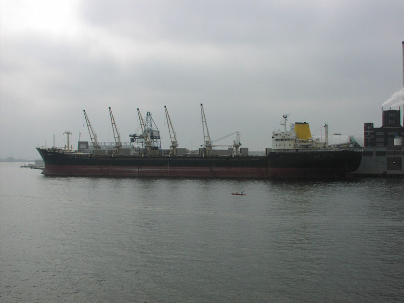 P8050049