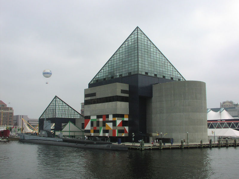 P8050059