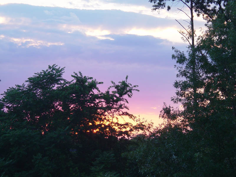 DSC03620